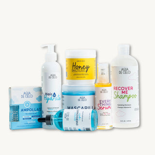 Signature Routine - Nutrición